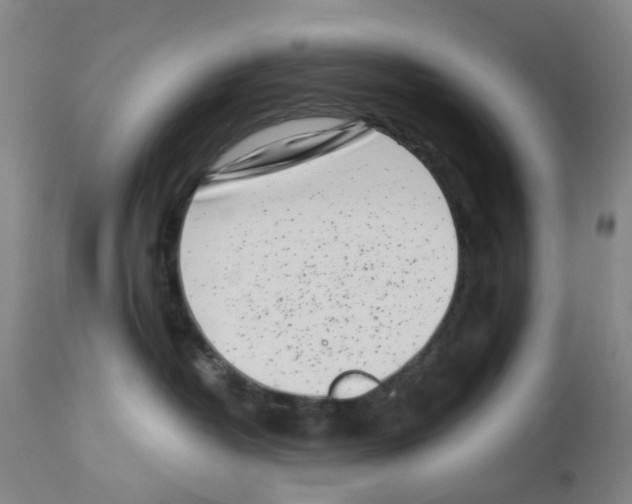 X0000112940382200910051201
