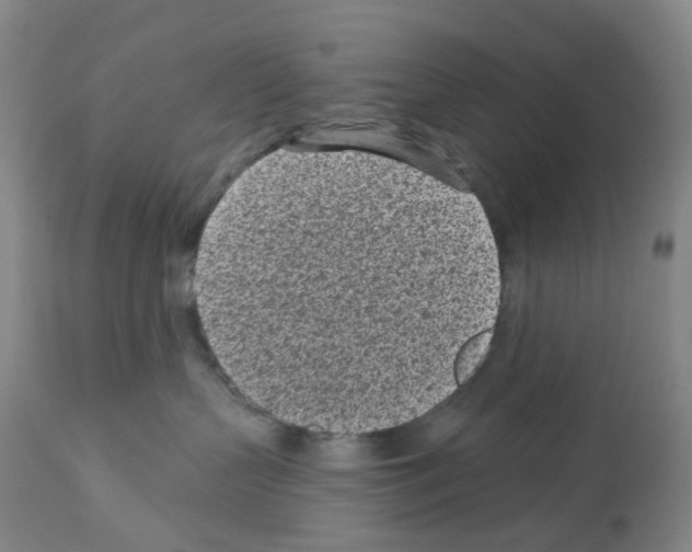 X0000112940383200910051201
