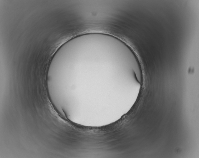 X0000112940385200910051201
