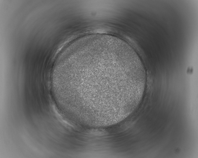 X0000112940386200910051201