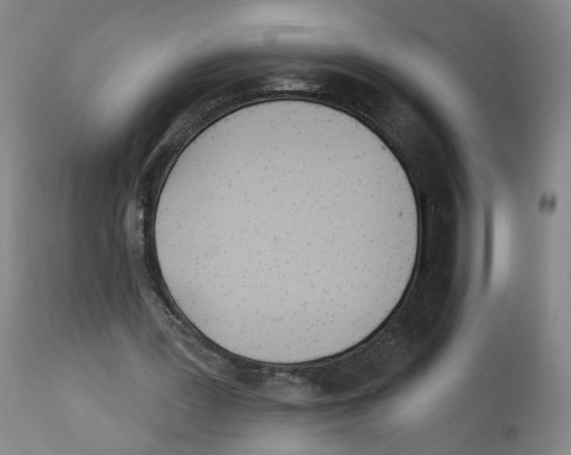 X0000112940387200910051201
