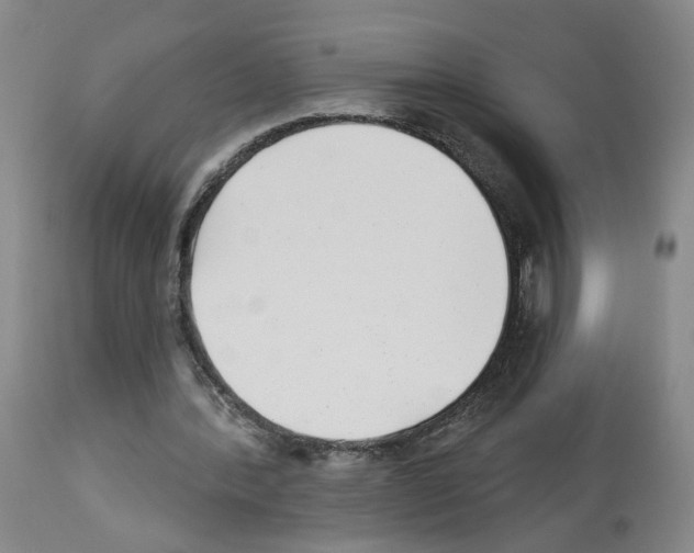 X0000112940388200910051201
