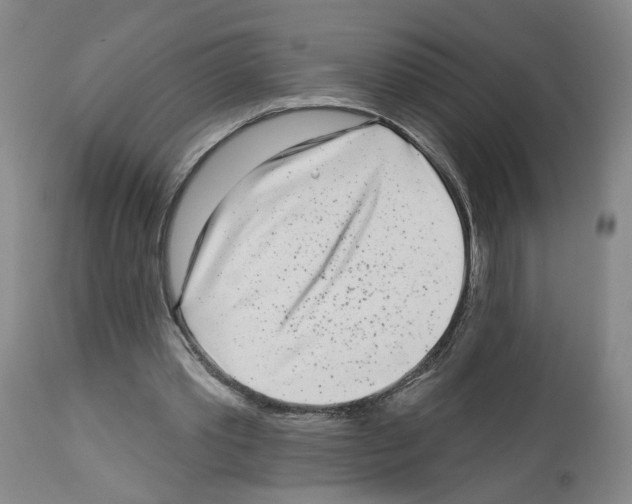 X0000112940389200910051201