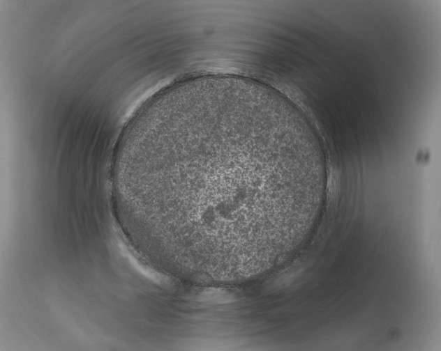 X0000112940390200910051201