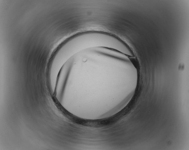 X0000112940391200910051201