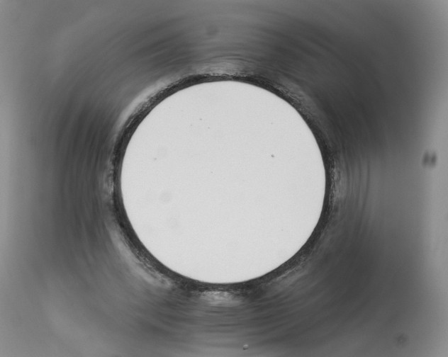 X0000112940392200910051201
