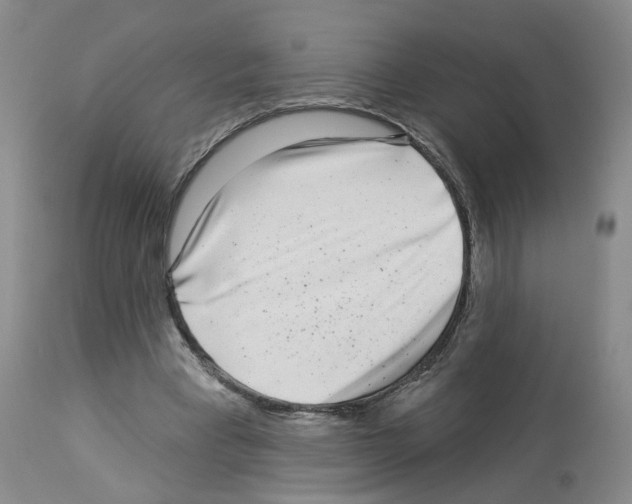 X0000112940393200910051201