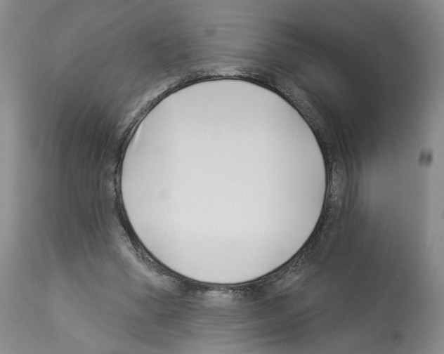 X0000112940394200910051201