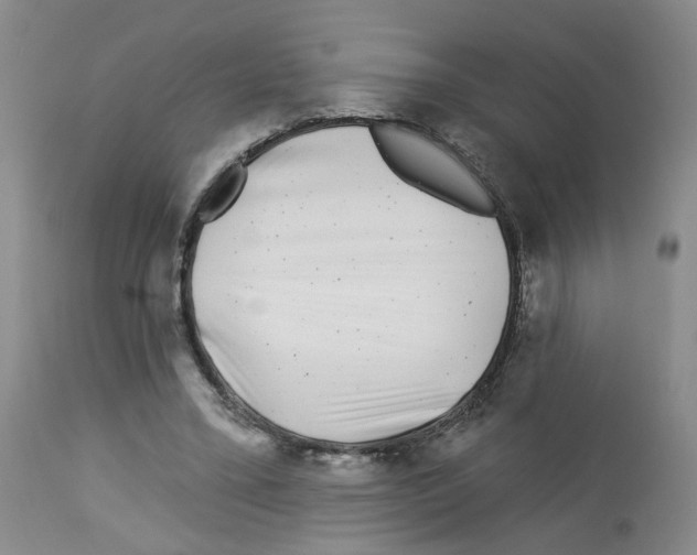 X0000112940395200910051201