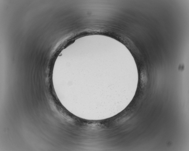 X0000112940396200910051201