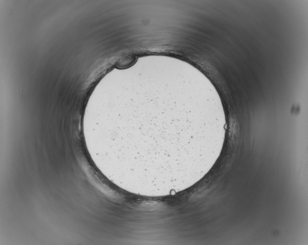 X0000112940397200910051201