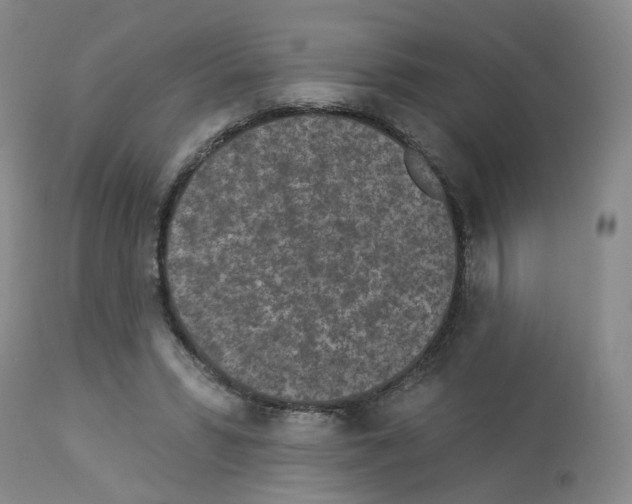 X0000112940399200910051201