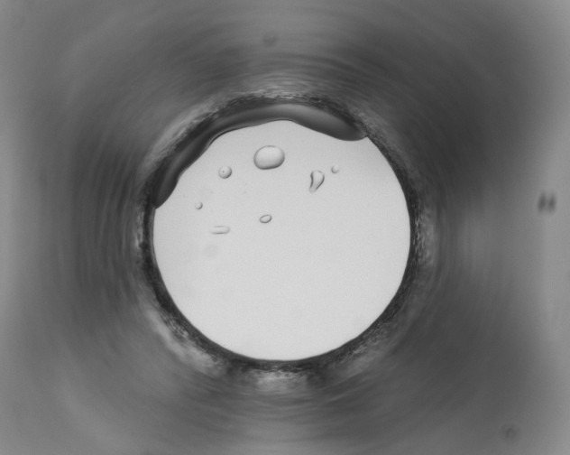 X0000112940400200910051200
