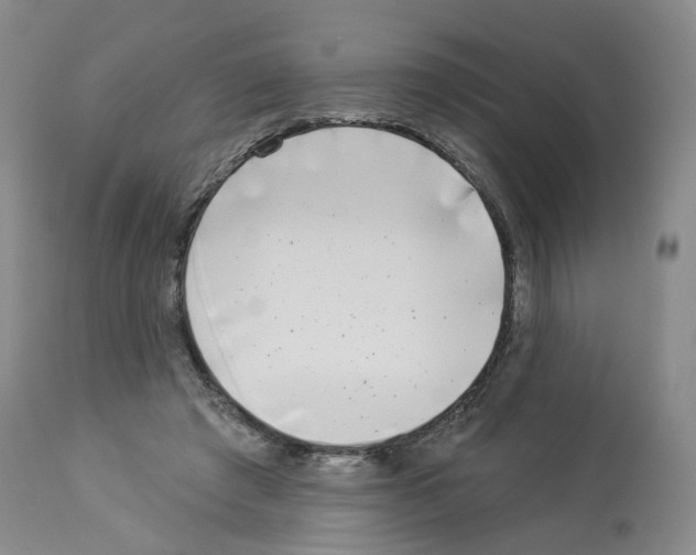 X0000112940401200910051200