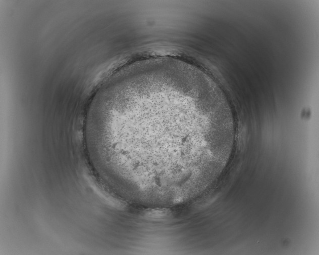 X0000112940402200910051200
