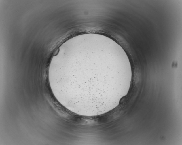X0000112940405200910051200