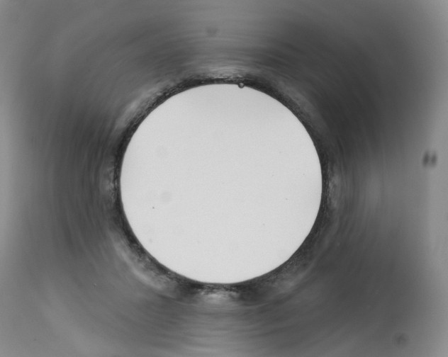 X0000112940407200910051200