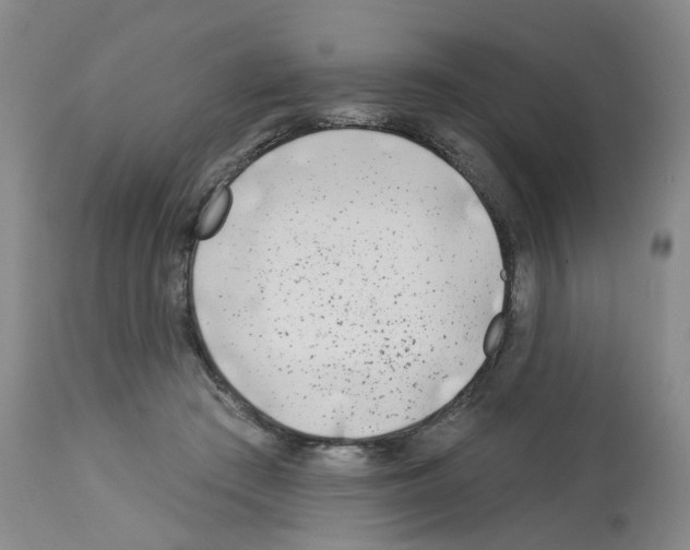 X0000112940409200910051200