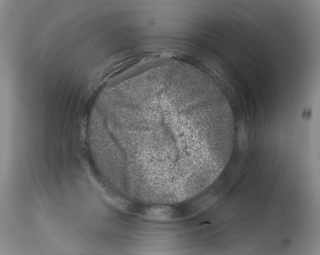 X0000112940410200910051200