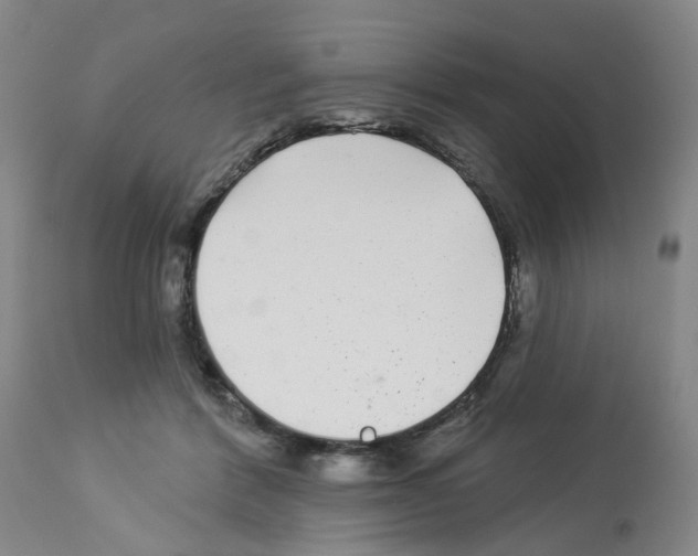 X0000112940412200910051200