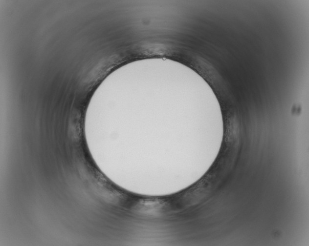 X0000112940414200910051200