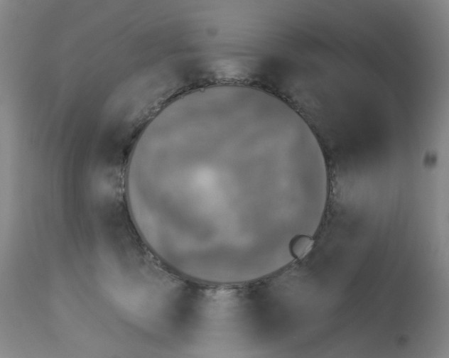 X0000112940419200910051200