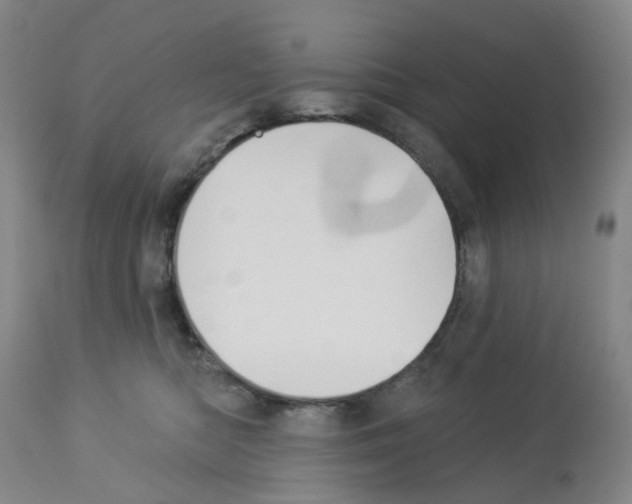 X0000112940422200910051200