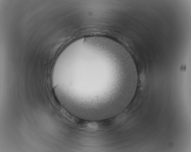 X0000112940423200910051200