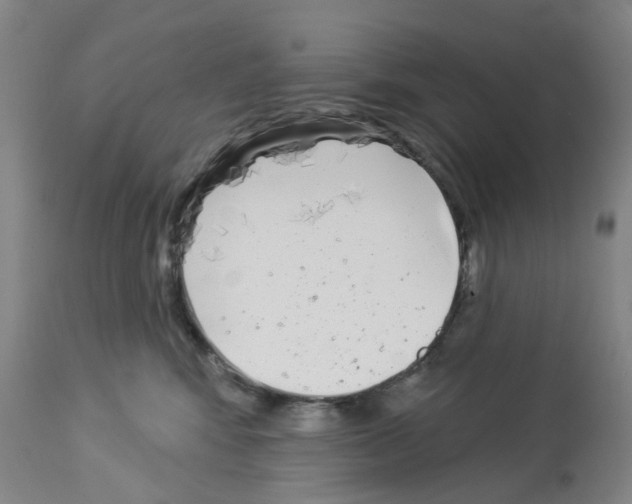 X0000112940424200910051200