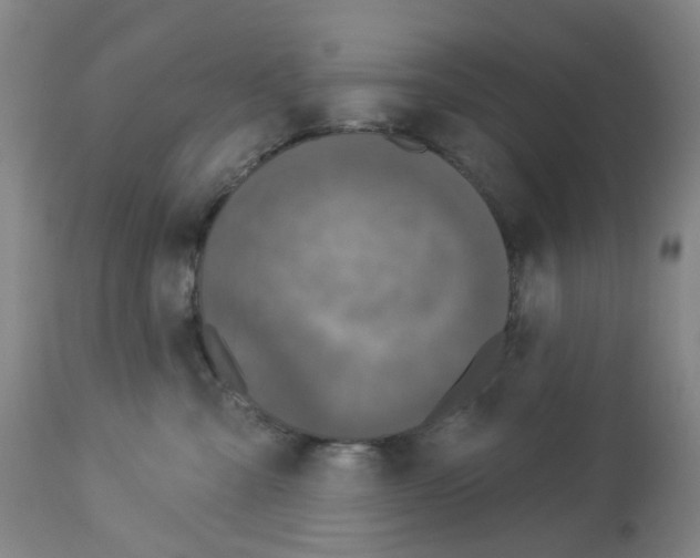 X0000112940427200910051200