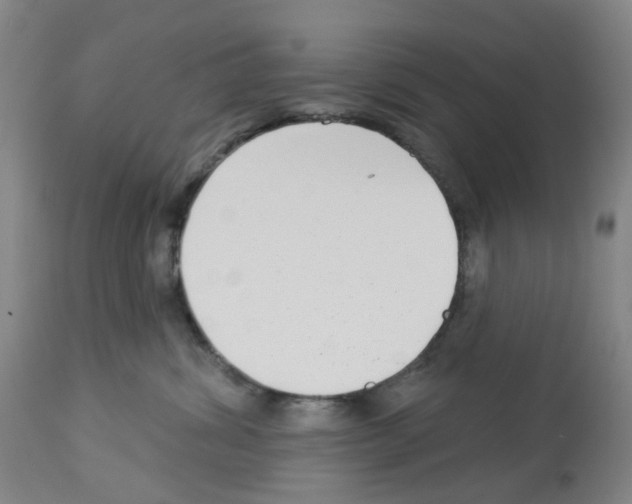 X0000112940428200910051200