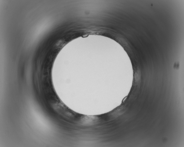 X0000112940429200910051200