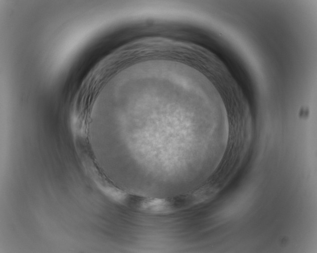 X0000112940431200910051200