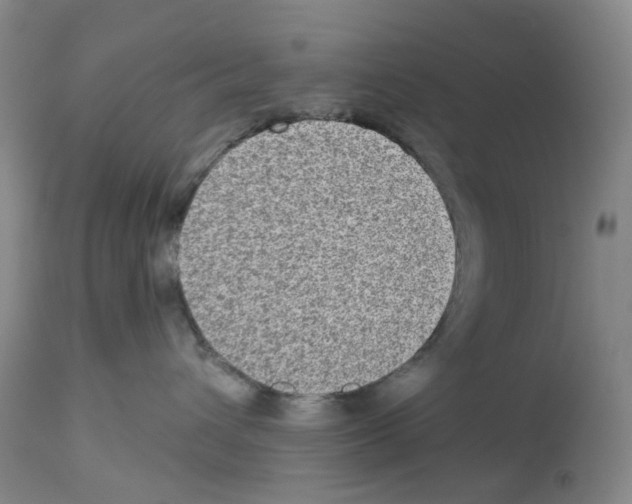 X0000112940432200910051200