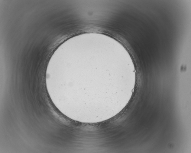 X0000112940433200910051159