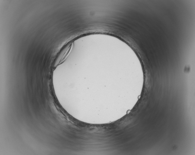 X0000112940434200910051159