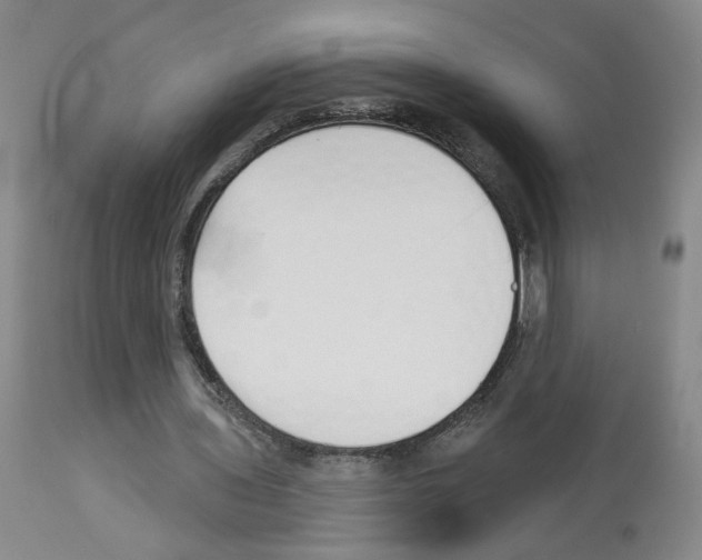 X0000112940435200910051159