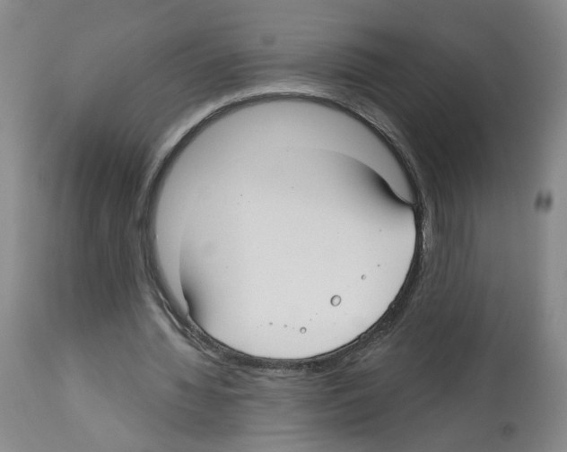 X0000112940436200910051159