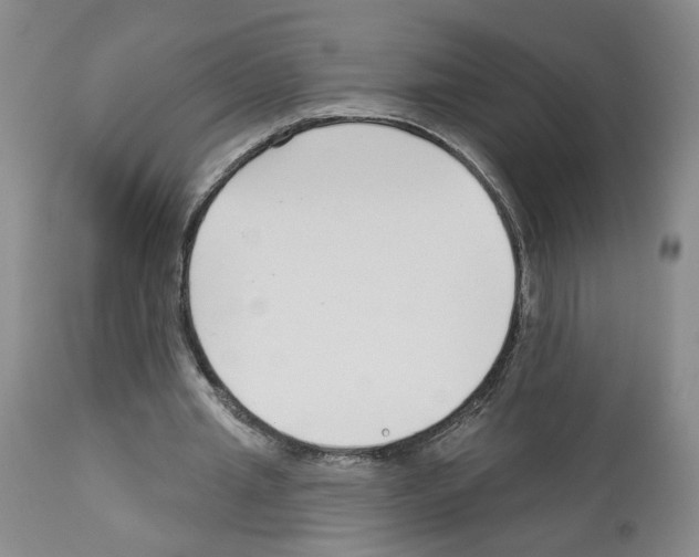 X0000112940437200910051159