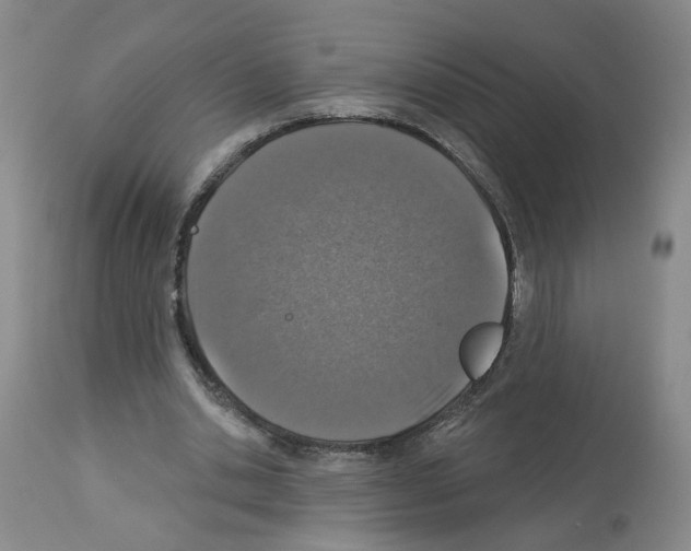 X0000112940438200910051159