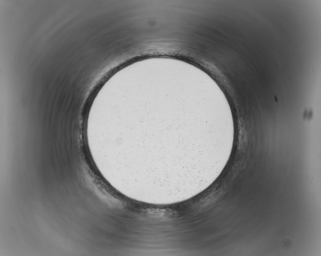 X0000112940439200910051159