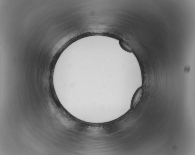 X0000112940440200910051159