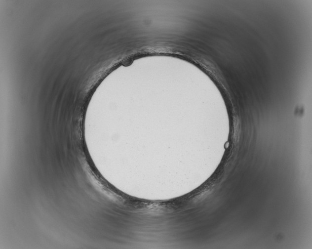 X0000112940441200910051159