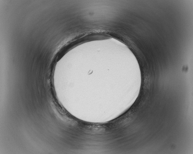 X0000112940443200910051159