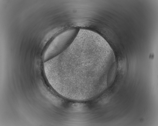X0000112940444200910051159