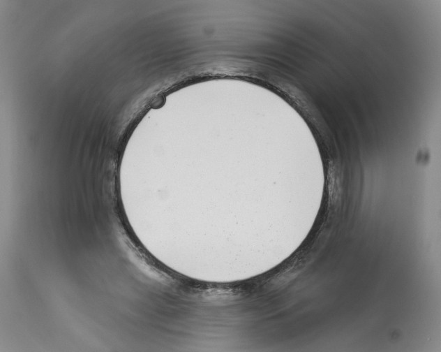 X0000112940445200910051159