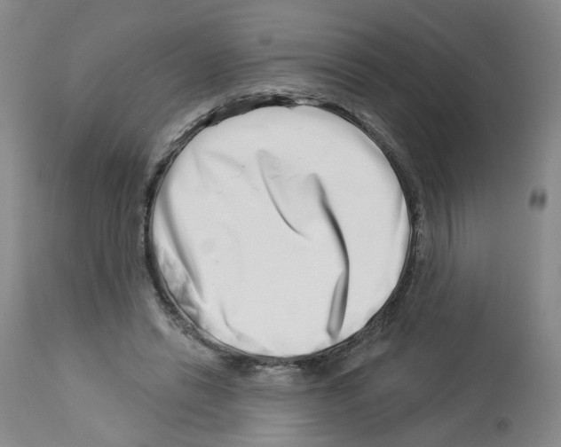 X0000112940446200910051159