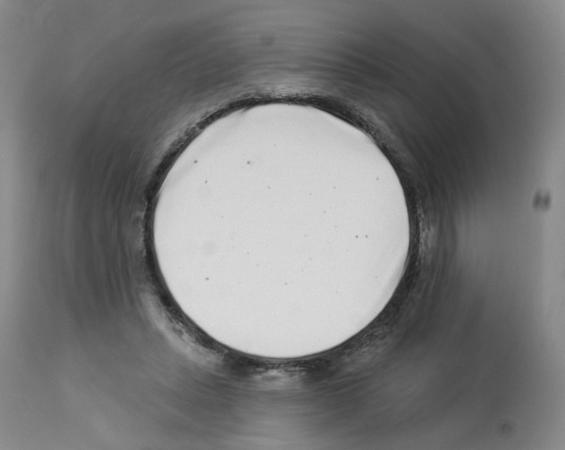 X0000112940447200910051159