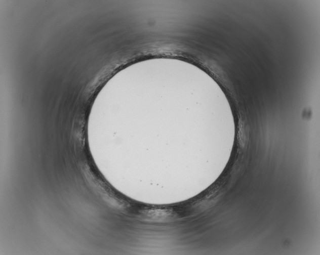 X0000112940449200910051159