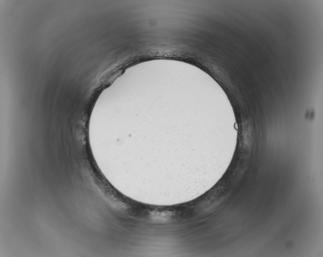 X0000112940450200910051159